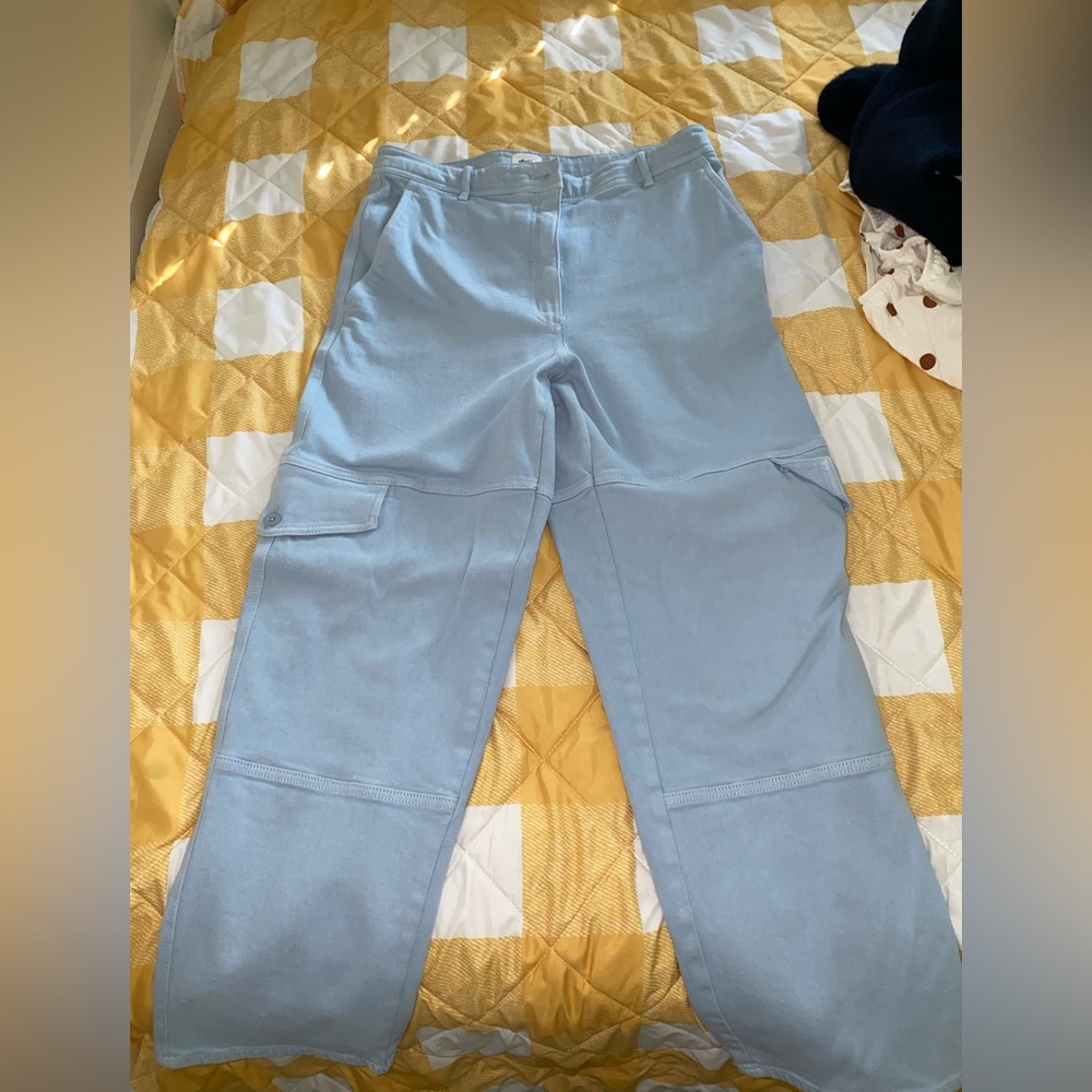 Aritiza pants Baby Blue